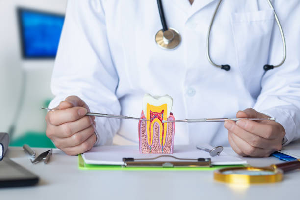Best Urgent Dental Care for Toothache in Bunker Hill, OR